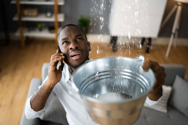 Best Water damage contractors near me  in Gallatin, MO