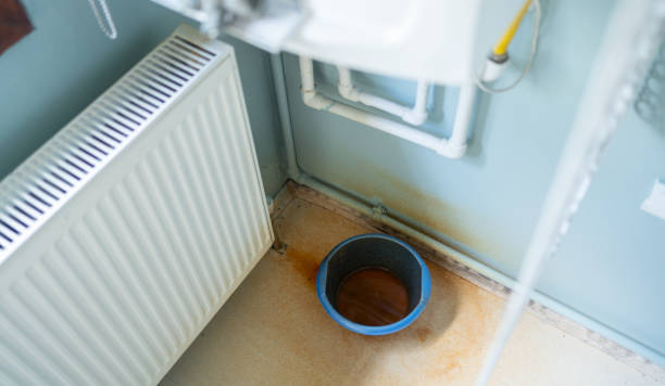 Best Flood damage cleanup  in Gallatin, MO