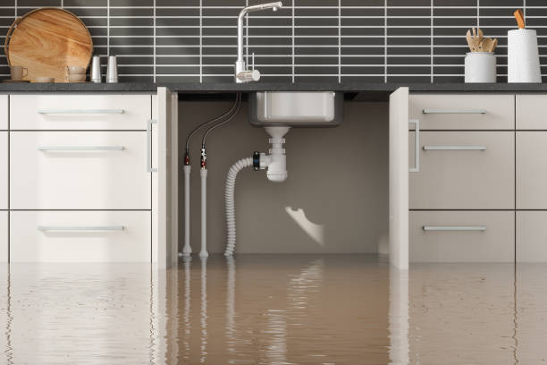 Best Carpet water damage restoration  in Gallatin, MO